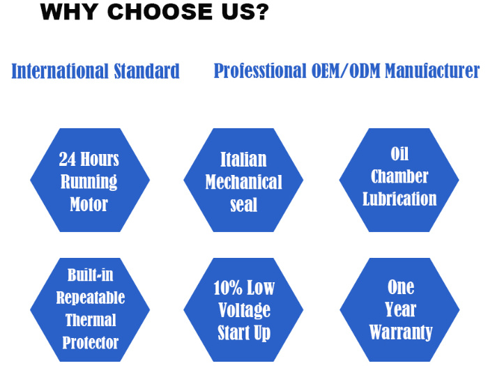 Home Depot S&oacute;tano S&oacute;tano Garaje Piso Estanque de peces Sumidero Bombas centr&iacute;fugas de drenaje de agua sumergibles de pl&aacute;stico peque&ntilde;as